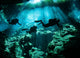 Diver Enters Cavern System Wall Decal