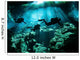 Diver Enters Cavern System Wall Decal