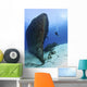 Diver Exploring Felipe Xicota Wall Decal