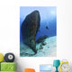 Diver Exploring Felipe Xicota Wall Decal