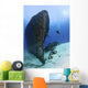 Diver Exploring Felipe Xicota Wall Decal