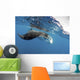 Manta Ray off Coast Wall Decal