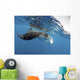 Manta Ray off Coast Wall Decal