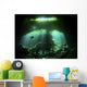 Diver Garden Eden Cenote Wall Decal