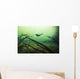 Diver Car Wash Cenote Wall Decal