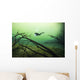 Diver Car Wash Cenote Wall Decal