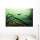 Diver Car Wash Cenote Wall Decal