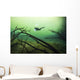 Diver Car Wash Cenote Wall Decal