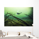 Diver Car Wash Cenote Wall Decal