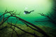 Diver Car Wash Cenote Wall Decal