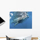 Whale Shark Feeding off Wall Decal Design 4