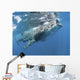 Whale Shark Feeding off Wall Decal Design 4