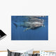 Whale Shark Feeding off Wall Decal Design 3