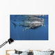 Whale Shark Feeding off Wall Decal Design 3