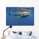 Whale Shark Feeding off Wall Decal Design 3