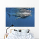 Whale Shark Feeding off Wall Decal Design 3