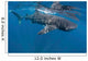 Whale Shark Feeding off Wall Decal Design 2