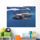 Whale Shark Feeding off Wall Decal Design 1