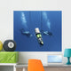 Technical Divers Ascend near Wall Decal