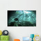 Diver Passes through Light Wall Decal