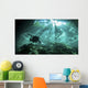 Diver Passes through Light Wall Decal