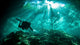 Diver Passes through Light Wall Decal