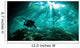 Diver Passes through Light Wall Decal
