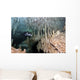 Diver Using Side Mount Wall Decal Design 2