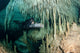 Diver Using Side Mount Wall Decal Design 1