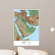 Map of the Middle East Wall Mural