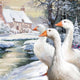 Geese By Stream Wall Mural