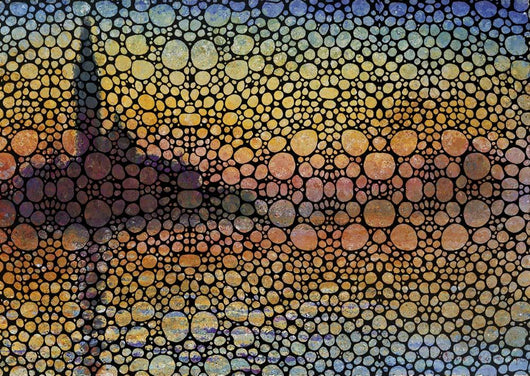 Saint Georges Bubbles Monet Wall Decal