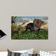 Lone Torosaurus Dinosaur Feeding Wall Decal Design 2