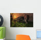 Lone Torosaurus Dinosaur Feeding Wall Decal Design 1