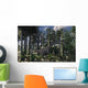 Young Diplodocus Dinosaur Feeding Wall Decal