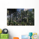 Young Diplodocus Dinosaur Feeding Wall Decal