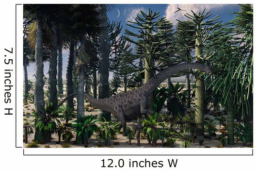 Young Diplodocus Dinosaur Feeding Wall Decal