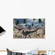 Pair Allosaurus Dinosaurs Confront Wall Decal