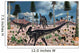Pair Allosaurus Dinosaurs Confront Wall Decal