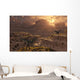 Pair Carnivorous Allosaurus Dinosaurs Wall Decal