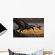 Tyrannosaurus Rex Spots Two Wall Decal