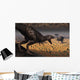 Tyrannosaurus Rex Spots Two Wall Decal