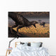 Tyrannosaurus Rex Spots Two Wall Decal