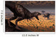 Tyrannosaurus Rex Spots Two Wall Decal