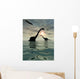 Diplodocus Dinosaurs Bathe Large Wall Decal Design 3