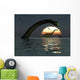 Diplodocus Dinosaurs Bathe Large Wall Decal Design 2