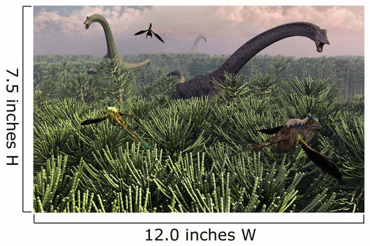 Diplodocus Dinosaurs Sauropod Family Wall Decal