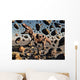Powerful T-rex Shatters Its Wall Decal