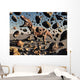 Powerful T-rex Shatters Its Wall Decal