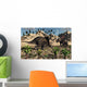 Pair Torosaurus Dinosaurs Fight Wall Decal Design 2